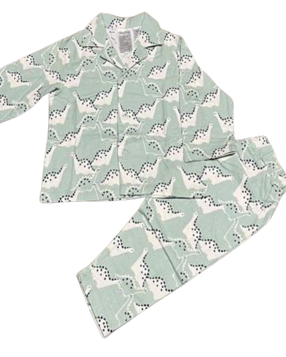 Green Dino Print Flannelette Pjs