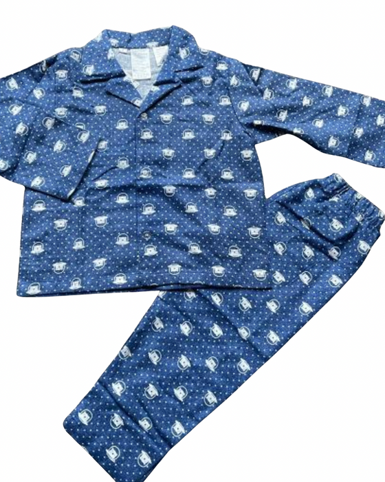 Space Bear Flannelette Pjs